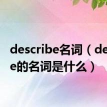 describe名词(describe的名词是什么)