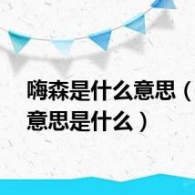 嗨森是什么意思（嗨森意思是什么）