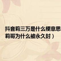 抖音莉三万是什么梗意思(抖音莉哥为什么被永久封)
