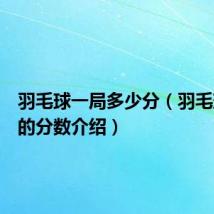 羽毛球一局多少分(羽毛球一局的分数介绍)
