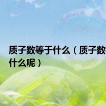 质子数等于什么(质子数都等于什么呢)