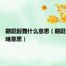 翩跹起舞什么意思(翩跹起舞是啥意思)
