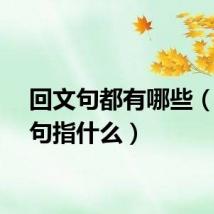 回文句都有哪些（回文句指什么）