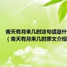 青天有月来几时这句话是什么意思(青天有月来几时原文介绍)