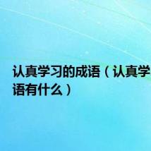 认真学习的成语（认真学习的成语有什么）