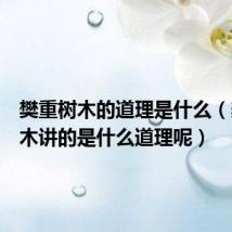 樊重树木的道理是什么（樊重树木讲的是什么道理呢）