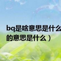 bq是啥意思是什么(bq的意思是什么)
