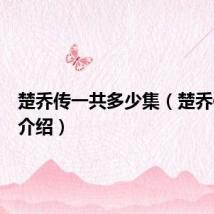 楚乔传一共多少集（楚乔传简单介绍）