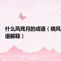 什么风残月的成语(晓风残月成语解释)