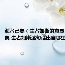 逝者已矣(生者如斯的意思 逝者已矣 生者如斯这句话出自哪里)