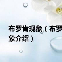 布罗肯现象（布罗肯现象介绍）