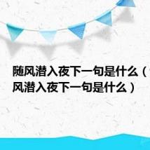 随风潜入夜下一句是什么(诗句随风潜入夜下一句是什么)