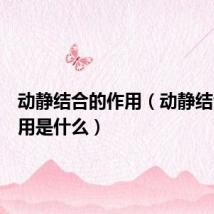 动静结合的作用（动静结合的作用是什么）