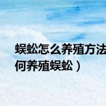 蜈蚣怎么养殖方法（如何养殖蜈蚣）