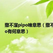 撒不溜pipo啥意思(撒不溜pipo有何意思)