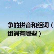 争的拼音和组词（争的组词有哪些）