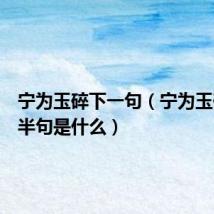 宁为玉碎下一句(宁为玉碎的下半句是什么)