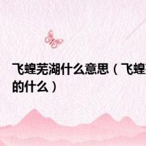 飞蝗芜湖什么意思（飞蝗芜湖指的什么）