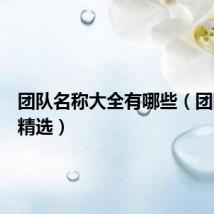 团队名称大全有哪些(团队名称精选)