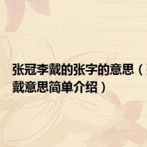 张冠李戴的张字的意思(张冠李戴意思简单介绍)