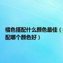 橘色搭配什么颜色最佳(橘色搭配哪个颜色好)