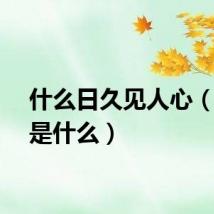 什么日久见人心（意思是什么）