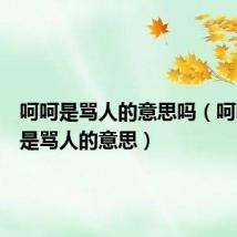 呵呵是骂人的意思吗(呵呵是不是骂人的意思)