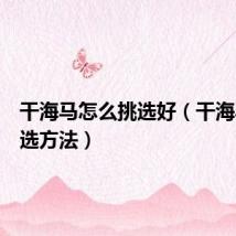 干海马怎么挑选好（干海马的挑选方法）