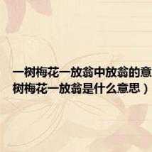一树梅花一放翁中放翁的意思（一树梅花一放翁是什么意思）