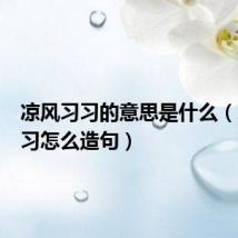 凉风习习的意思是什么（凉风习习怎么造句）