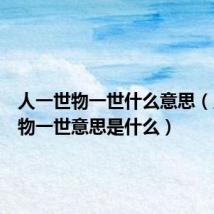 人一世物一世什么意思（人一世物一世意思是什么）