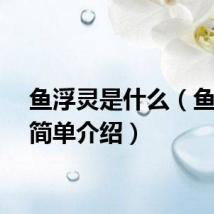 鱼浮灵是什么（鱼浮灵简单介绍）