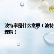 波特率是什么意思（波特率如何理解）