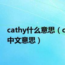 cathy什么意思(cathy中文意思)