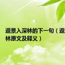 返景入深林的下一句（返景入深林原文及释义）