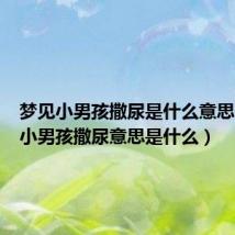 梦见小男孩撒尿是什么意思（梦见小男孩撒尿意思是什么）
