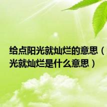 给点阳光就灿烂的意思(给点阳光就灿烂是什么意思)