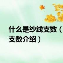 什么是纱线支数（纱线支数介绍）