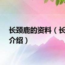 长颈鹿的资料（长颈鹿介绍）