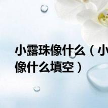 小露珠像什么（小露珠像什么填空）