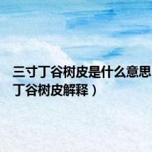 三寸丁谷树皮是什么意思（三寸丁谷树皮解释）