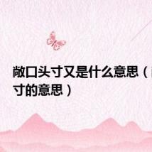 敞口头寸又是什么意思(敞口头寸的意思)