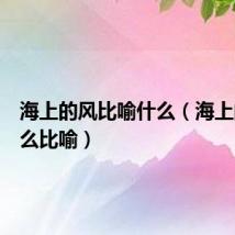 海上的风比喻什么(海上的风怎么比喻)