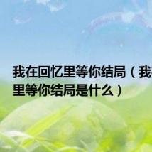 我在回忆里等你结局(我在回忆里等你结局是什么)