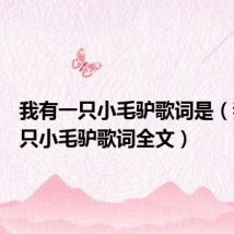 我有一只小毛驴歌词是（我有一只小毛驴歌词全文）