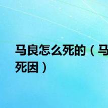 马良怎么死的（马良的死因）
