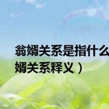 翁婿关系是指什么（翁婿关系释义）