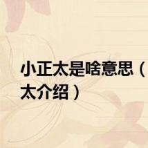 小正太是啥意思（小正太介绍）