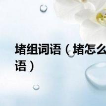 堵组词语（堵怎么组词语）