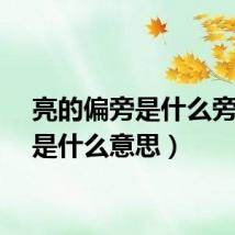 亮的偏旁是什么旁（亮是什么意思）